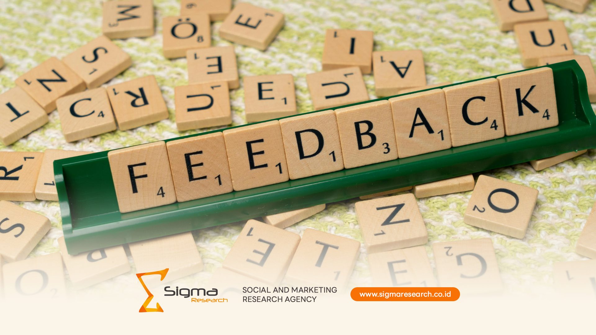 Survei konsumen Indonesia metodologi panduan lengkap desain sampling pengumpulan data analisis bisnis lembaga profesional